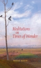 Meditations in Times of Wonder - Book