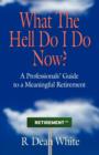 WHAT THE HELL DO I DO NOW? A Professionals' Guide to a Meaningful Retirement - Book