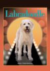 Labradoodle - Book