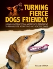 Turning Fierce Dogs Friendly : Using Constructional Aggression Treatment to Rehabilitate Aggressive and Reactive Dogs - eBook