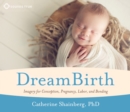 Dreambirth : Imagery for Conception, Pregnancy, Labor, and Bonding - Book
