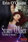 Storm Maker [The Dawn of Ireland 1] (Bookstrand Publishing Romance) - Book