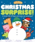 Jelly Bear Christmas Surprise - Book