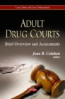 Adult Drug Courts : Brief Overview & Assessments - Book