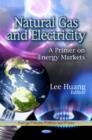 Natural Gas and Electricity : A Primer on Energy Markets - eBook