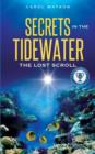 Secrets in the Tidewater - Book