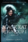 Black Kat Roundup 1 : A Superhero Urban Fantasy Collection - Book