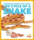 Life Cycle of a Snake - Book