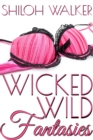 Wicked Wild Fantasies - eBook