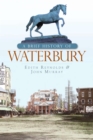 A Brief History of Waterbury - eBook