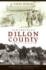 Remembering Dillon County, South Carolina - eBook