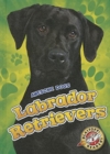 Labrador Retrievers Labrador Retrievers - Book