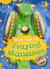 Praying Mantises - Book