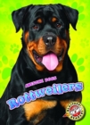 Rottweilers - Book