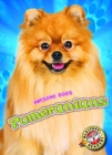 Pomeranians - Book