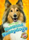 Shetland Sheepdogs - Book