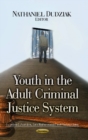 Youth in the Adult Criminal Justice System - Book