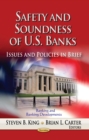 Safety and Soundness of U.S. Banks : Issues and Policies in Brief - eBook