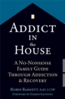 Addict in the House : A No-Nonsense Family Guide Through Addiction and Recovery - Book