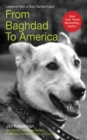 From Baghdad to America : Life Lessons from a Dog Named Lava - eBook