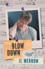 Blow Down - Book
