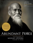 Abundant Peace - Book