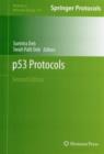 P53 Protocols - Book