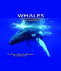 Whales : The Complete Guide For Beginners & Early Learning - eBook