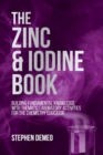 The Zinc and Iodine Book : Building Fundamental Knowledge with Thematic Laboratory Activities for the Chemistry Educator - Book
