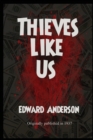 Thieves Like Us - Book