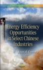 Energy Efficiency Opportunities in Select Chinese Industries - Book