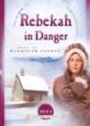 Rebekah in Danger : Peril at Plymouth Colony - eBook