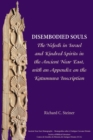 Disembodied Souls : The Nefesh in Israel and Kindred Spirits in the Ancient Near East, with an Appendix on the Katumuwa Inscription - Book