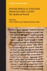 Jewish Biblical Exegesis from Islamic Lands : The Medieval Period - Book
