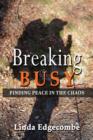 Breaking Busy : Finding Peace in the Chaos - Book