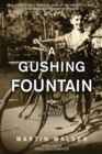 A Gushing Fountain : A Novel - eBook