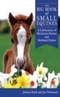 The Big Book of Small Equines : A Celebration of Miniature Horses and Shetland Ponies - eBook