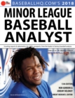 2018 Minor League Baseball Analyst - Book