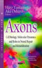 Axons : Cell Biology, Molecular Dynamics and Roles in Neural Repair and Rehabilitation - eBook