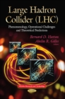 Large Hadron Collider : Phenomenology, Operational Challenges & Theoretical Predictions - Book