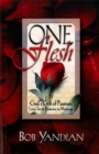 One Flesh : God's Gift of Passion: Love, Sex and Romance in Marriage - eBook