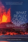 What Really Causes Global Warming? : Greenhouse Gases or Ozone Depletion? - Book