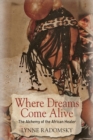 Where Dreams Come Alive : The Alchemy of the African Healer - Book