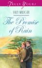 The Promise Of Rain - eBook