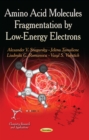 Amino Acid Molecules Fragmentation by Low-Energy Electrons - eBook