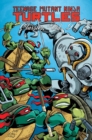 Teenage Mutant Ninja Turtles Classics Volume 9 - Book