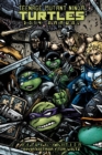 Teenage Mutant Ninja Turtles 2014 Annual Deluxe Edition - Book