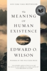 The Meaning of Human Existence - Book