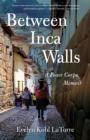 Between Inca Walls : A Peace Corps Memoir - Book