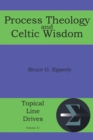 Process Theology and Celtic Wisdom - Book